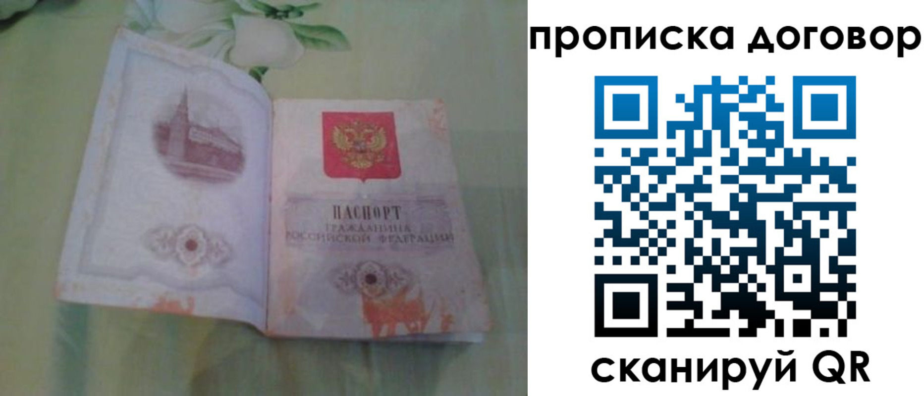 временная регистрация гарантия в Михайловке